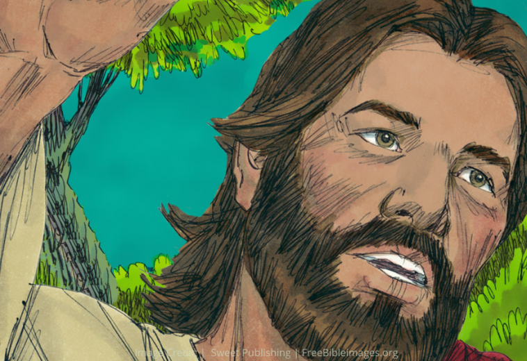 Jesus after peter cuts off Malchus ear